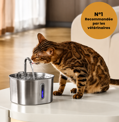 Kit Santé et Bonheur pour Chat