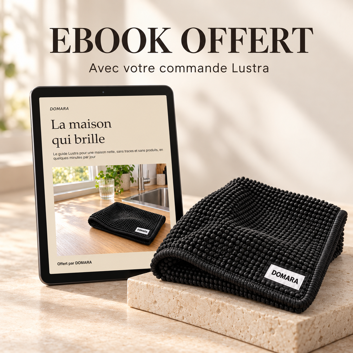 E book Lustra