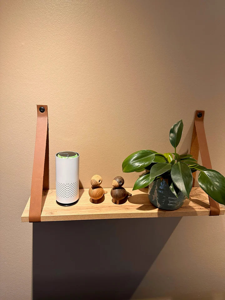 AirNord PURIFICATEUR D'AIR