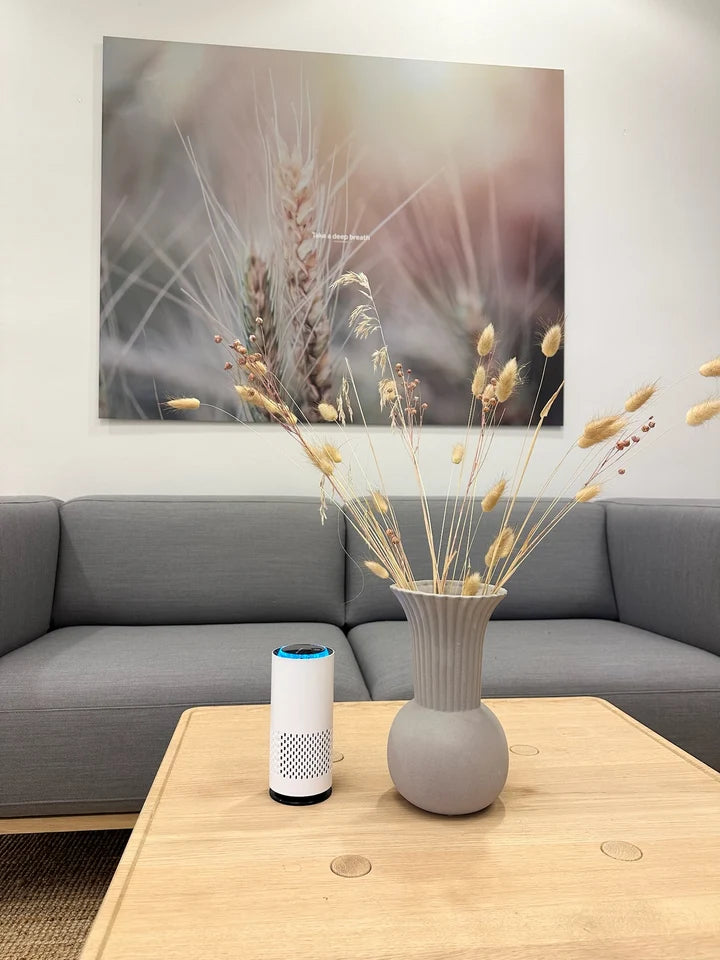AirNord PURIFICATEUR D'AIR