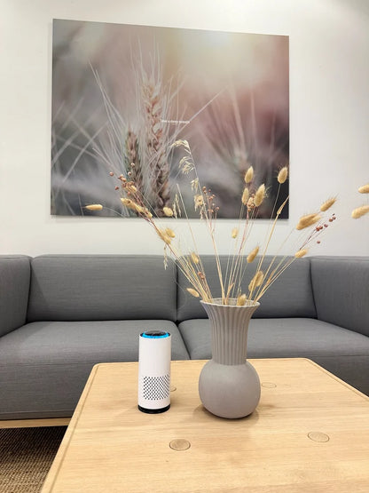 AirNord PURIFICATEUR D'AIR
