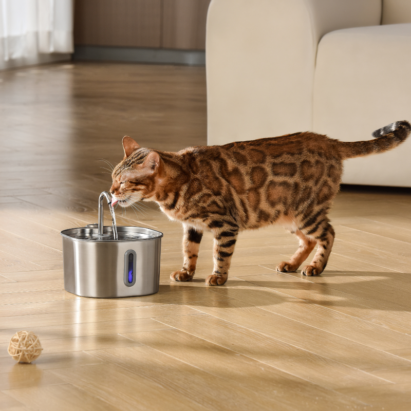 Kit Santé et Bonheur pour Chat