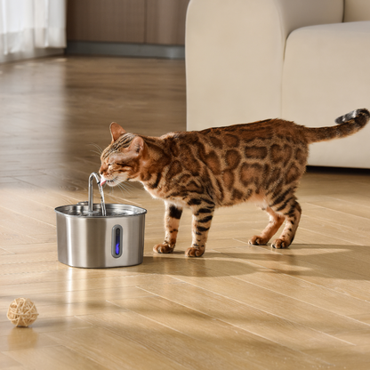 Kit Santé et Bonheur pour Chat